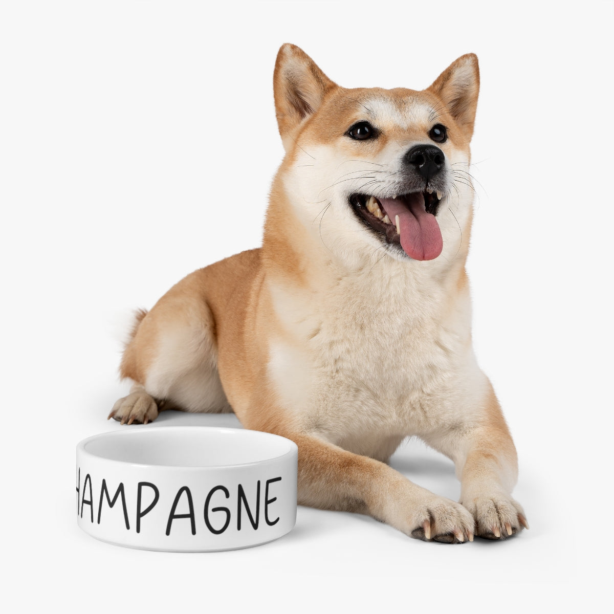 Champagne Funny Dog Gift Pet Food Bowl | Water Bowl | Cat Bowls | Custom Dog Mom Gift | Personalized Dog Bowl | Custom Cat Dad Gift | Ca