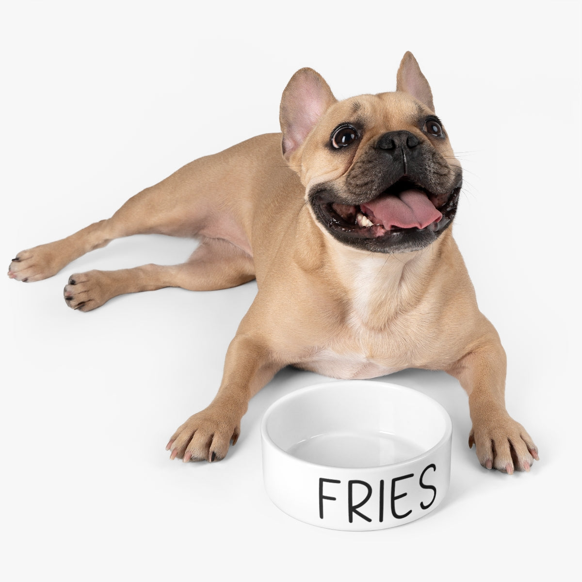 Funny Dog Gift Pet Food Bowl